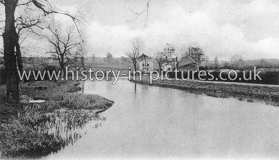 River Roding, Fyfield, Essex. c.1906